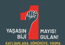 Çürüyen Düzen ve Filizlenen Direniş: Örgütlü Yaşam, Özgür Yarınlar